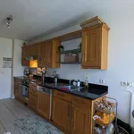 Rent 4 bedroom apartment of 85 m² in Grenoble