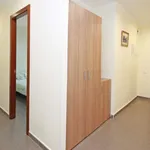 Alquilar 3 dormitorio apartamento en Barcelona