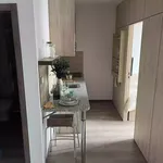 Rent 1 bedroom apartment in Madrid