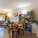 Rent a room in rome