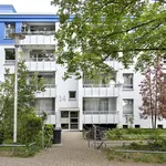 Miete 3 Schlafzimmer wohnung von 73 m² in Monheim