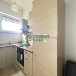 Rent 2 bedroom apartment of 50 m² in Turin