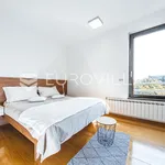 Rent 2 bedroom apartment of 120 m² in Zagreb