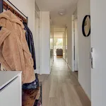 Rent 2 bedroom apartment of 50 m² in Friesegracht Zuid