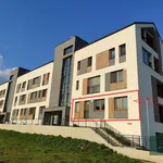 Rent 2 bedroom apartment of 44 m² in Zbiroh