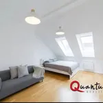 Rent 1 bedroom apartment of 36 m² in Prague