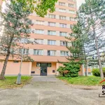 Rent 2 bedroom apartment of 54 m² in Frýdek-Místek