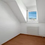 Gemütliche Dachwohnung