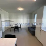 2-room flat via San Rocco 8, Segrate Centro, Segrate