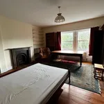 Rent 4 bedroom house in North East England