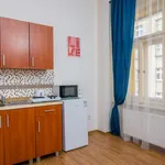 Studio of 18 m² in prague