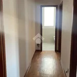 Rent 4 bedroom apartment of 85 m² in Bologna