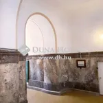 Rent 4 bedroom apartment in Budapest