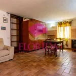 2-room flat via Garigliano, Tor San Lorenzo - Nuova California, Ardea