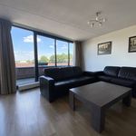 Rent 3 bedroom apartment of 90 m² in Vogelenbuurt