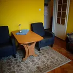 Rent 2 bedroom apartment of 56 m² in Włocławek