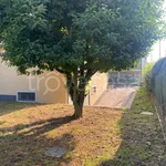 Appartamento in affitto a Carvico via Gaetano Donizetti, 6, non arredato/vuoto, giardino, ristrutturato - TrovaCasa