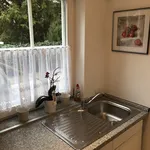 Rent 2 bedroom apartment of 52 m² in Rüsselsheim