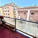 Rent 3 bedroom apartment of 90 m² in Campobasso