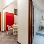 Rent 1 bedroom apartment in florence