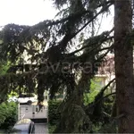 Rent 5 bedroom apartment of 95 m² in Parma