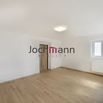 Rent 3 bedroom apartment of 90 m² in České Budějovice