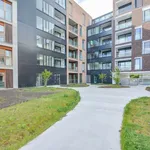 Rent 1 bedroom apartment in Izegem