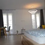 Rent 1 bedroom apartment of 44 m² in Frankfurt