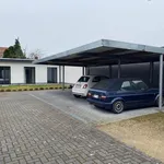 Huur 3 slaapkamer huis van 1425 m² in Brasschaat