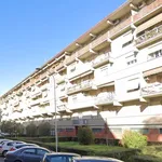 Rent 3 bedroom apartment of 78 m² in Florence