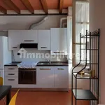 Rent 2 bedroom apartment of 55 m² in Parma