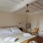 Rent 3 bedroom apartment in Cortona