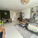 Rent 2 bedroom apartment of 80 m² in Groningen