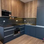 Pronajměte si 1 ložnic/e byt o rozloze 45 m² v Prague