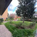 Rent 4 bedroom apartment of 117 m² in San Lazzaro di Savena