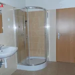 Rent 2 bedroom apartment of 78 m² in rymarov