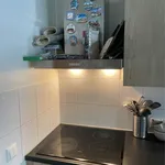 Rent 2 bedroom apartment of 46 m² in Oegstgeest