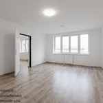 Rent 1 bedroom apartment of 47 m² in Ústí nad Labem