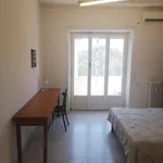 Rent 3 bedroom apartment of 90 m² in Roma