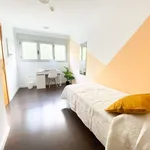 Rent 1 bedroom apartment in zaragoza