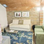 Rent 1 bedroom apartment of 40 m² in Florence