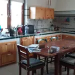 Rent 3 bedroom apartment of 95 m² in Gravina di Catania