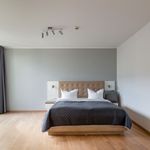 Rent 1 bedroom apartment of 936 m² in Dresden