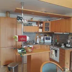 Pronajměte si 3 ložnic/e byt o rozloze 99 m² v Prague