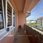 Rent 3 bedroom apartment in Plzeň-jih