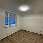 Rent 3 bedroom apartment of 51 m² in Liberec