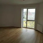 Rent 5 bedroom apartment of 135 m² in Graz