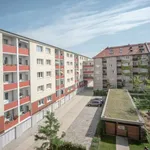 Rent 1 bedroom apartment in berlin