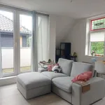 Rent 2 bedroom apartment of 54 m² in De Horn