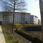 Rent 3 bedroom apartment of 65 m² in Poitiers